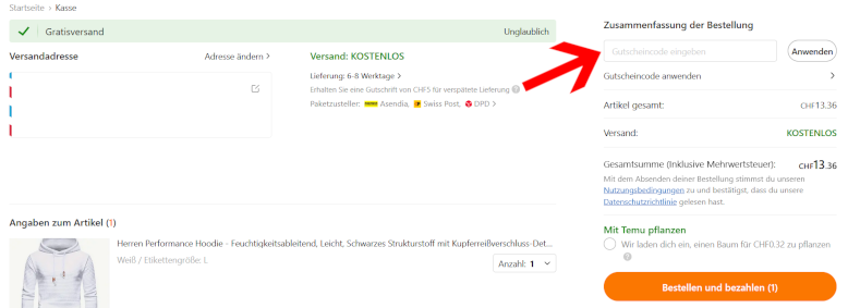 Den Temu Gutschein an der Kasse verwenden